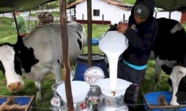 Llevarse el agua de Chihuahua afecta a productores de leche