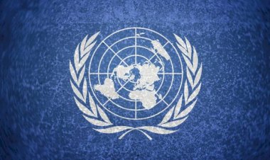La ONU, sólo buenas intenciones