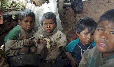 Los hechos irrevocables del fracaso: la inseguridad alimentaria en México