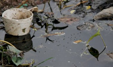 Dengue, enfermedad de la pobreza y de gobiernos irresponsables