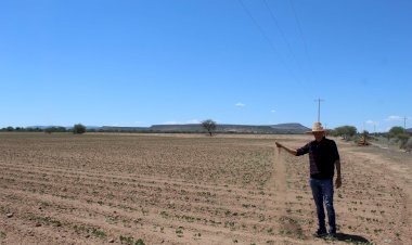 Advierten de crisis severa por sequía en Zacatecas