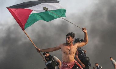 Posicionarnos con Palestina