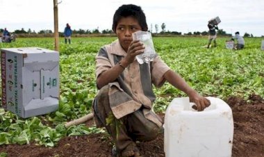 Niñas y niños víctimas del trabajo infantil en Morelos, sin rumbo ni futuro