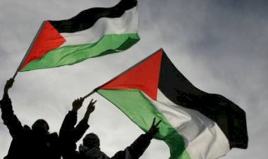 Alto a la agresión a Palestina