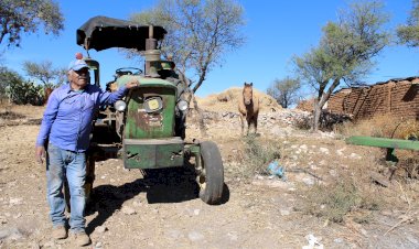 Campesinos zacatecanos, sin apoyos gubernamental ante sequía