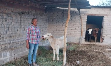 ENTREVISTA | Si AMLO no le interesa Guerrero, menos la sequía, aseguran agricultores jaliscienses