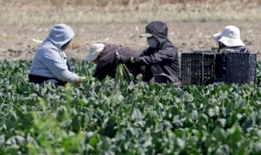 El agro de Tlaxcala, entre el abandono y la crisis