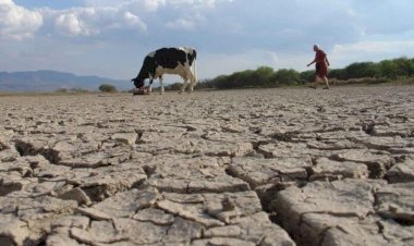 Sed: no es el cambio climático sino Morena y un pueblo desorganizado