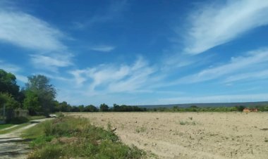 Campesinos cambian producción en Tamaulipas por sequía