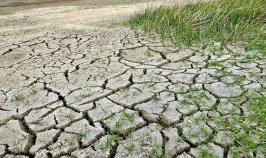 La sequía afectará a la Sierra Norte