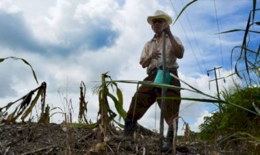 Los pobres del campo quintanarroense siguen en el abandono