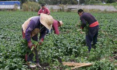 Agricultura incierta