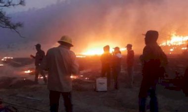 Familias bocoynenses piden desesperadas auxilio por incendios