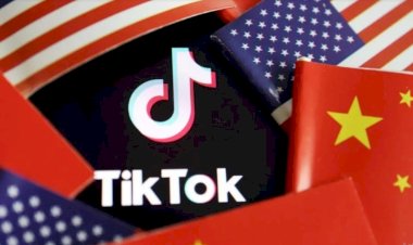 Proteccionismo disfrazado: Estados Unidos vs TikTok