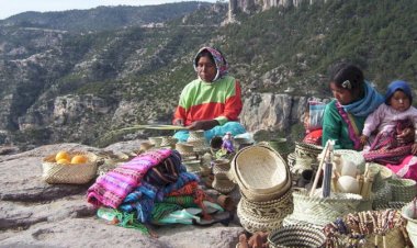 Sequía afecta belleza y panorama turístico de Sierra Tarahumara
