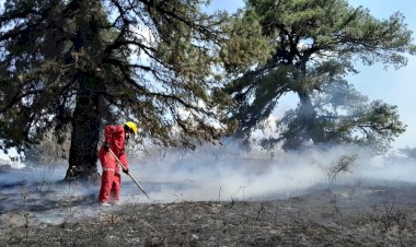 Antorcha en CDMX exige a 4T atender incendios forestales