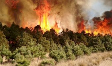 Sequías, incendios, inundaciones: emergencia climática
