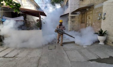 Urge la atención de casos de dengue en Guerrero