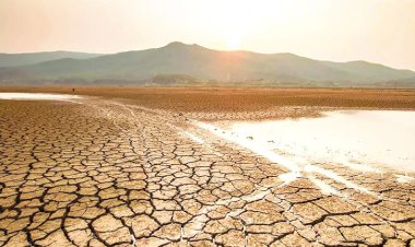 REPORTAJE | Alarma en SLP por grave sequía