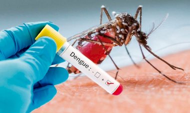 Oaxaca, alerta por aumento de muertes por dengue