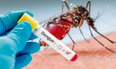 Sin medidas ante alza en casos de dengue en Nuevo León