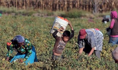 Trabajo infantil y desigualdad en México: una mirada crítica