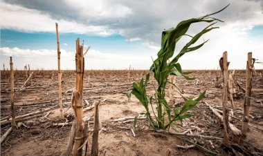 Las lluvias y su impacto en la crisis del agua en México