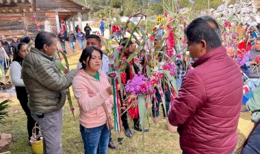 Unidad ante política discriminatoria de Morena en Oaxaca