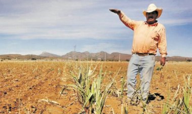 El problema del campo en México