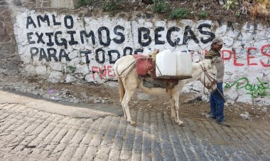 Gloria Brito urge a autoridades atender causas de pobreza