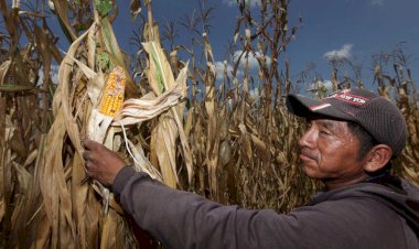 El campo sigue en espera