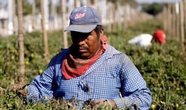 Piden más presupuesto para empleo temporal en Chihuahua por sequía