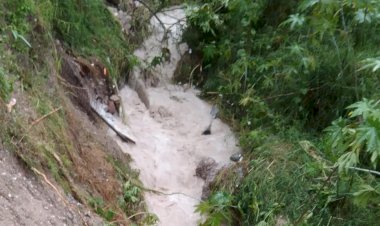 Se pierde 60 ? siembra de maíz en Costa Grande