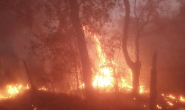 Unidad de colonos antorchistas logra combatir incendio forestal en Emiliano Zapata, Veracruz