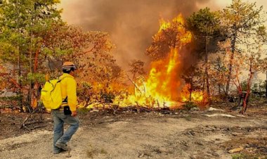 Incendios en Sierra tarahumara consumen casas en Bocoyna, Chihuahua