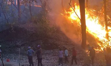 Chihuahua, entre incendios forestales y la indiferencia presidencial