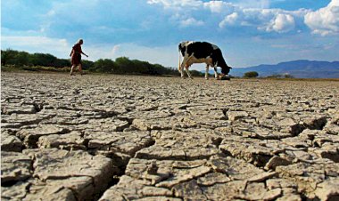 Sequía y calor extremo: el clima castiga más a los pobres