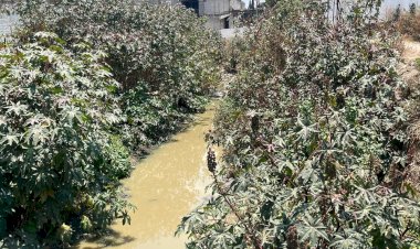 REPORTAJE | Exigen en Nicolás Romero atención a riesgos por río de aguas negras
