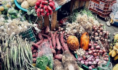 Mercadito campesino del Istmo, alternativa ante desempleo en la 4T