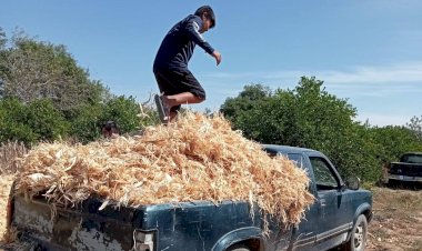 ENTREVISTA | Sequía y abandono de 4T golpea al campo en Costa de Oaxaca