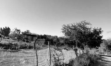FOTORREPORTAJE | El calvario de las colonias irregulares
