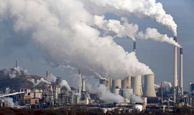 Crisis ecológica y mundial prueban que capitalismo debe suplirse