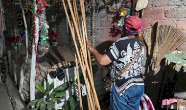 CRÓNICA | Un día en la vida de una cortadora de limón