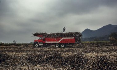 Chiapas, un campo en el abandono