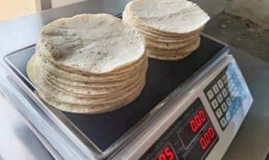 Industria y campo buscan un precio justo para el maíz