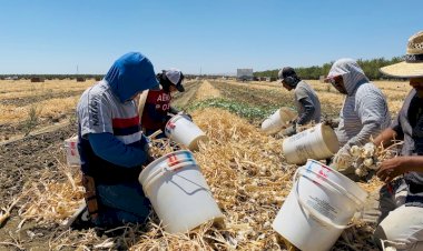 ¿De qué viven las familias serranas de Querétaro?