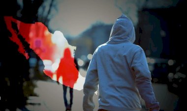 Para enfrentar la inseguridad ¿Anarquía o planificación?