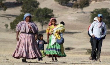Familias rarámuris exigen seguridad para volver a sus comunidades