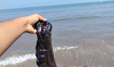 Derrame petrolero golpea economía familiar en Veracruz, denuncian pescadores