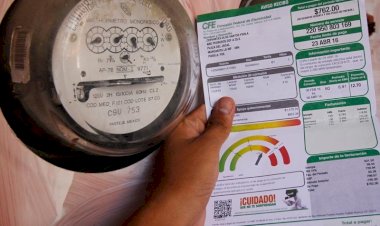 CFE: Urgen subsidios reales